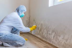 Reliable Bridgehampton, NY Mold Inspection Solutions